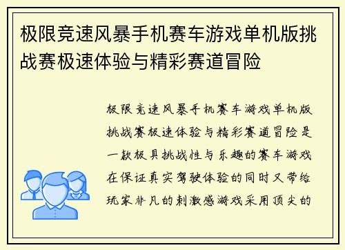极限竞速风暴手机赛车游戏单机版挑战赛极速体验与精彩赛道冒险